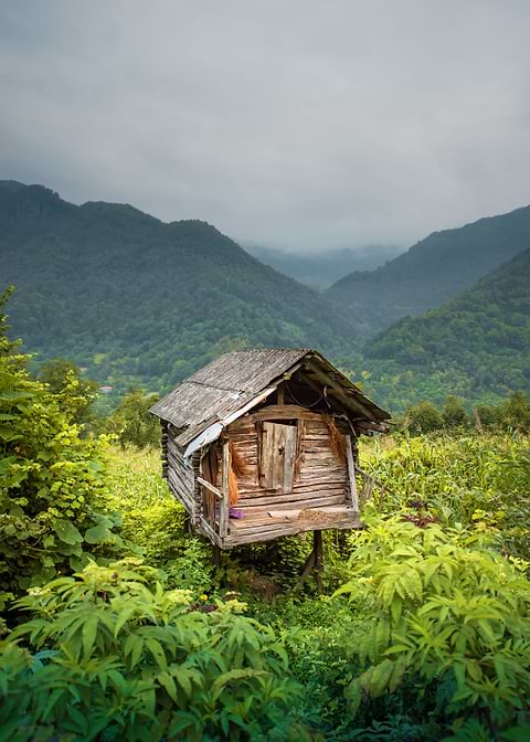 Country View
