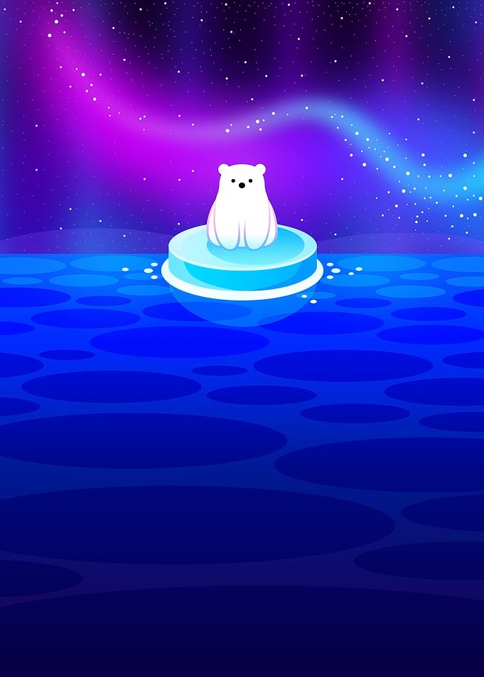 Polar Bear