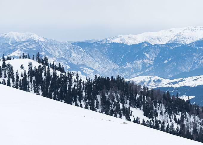 Winter Landscape
