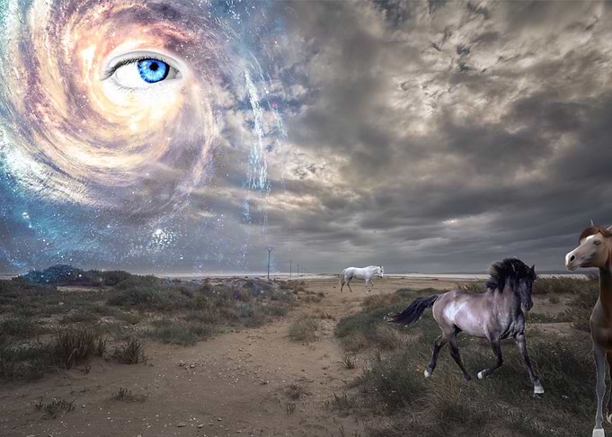 Eye of the storm