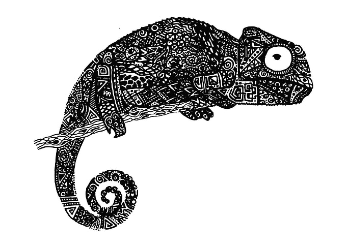 Abstract Chameleon