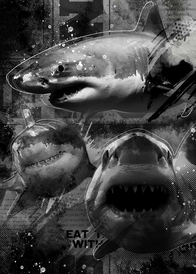 SHARKY