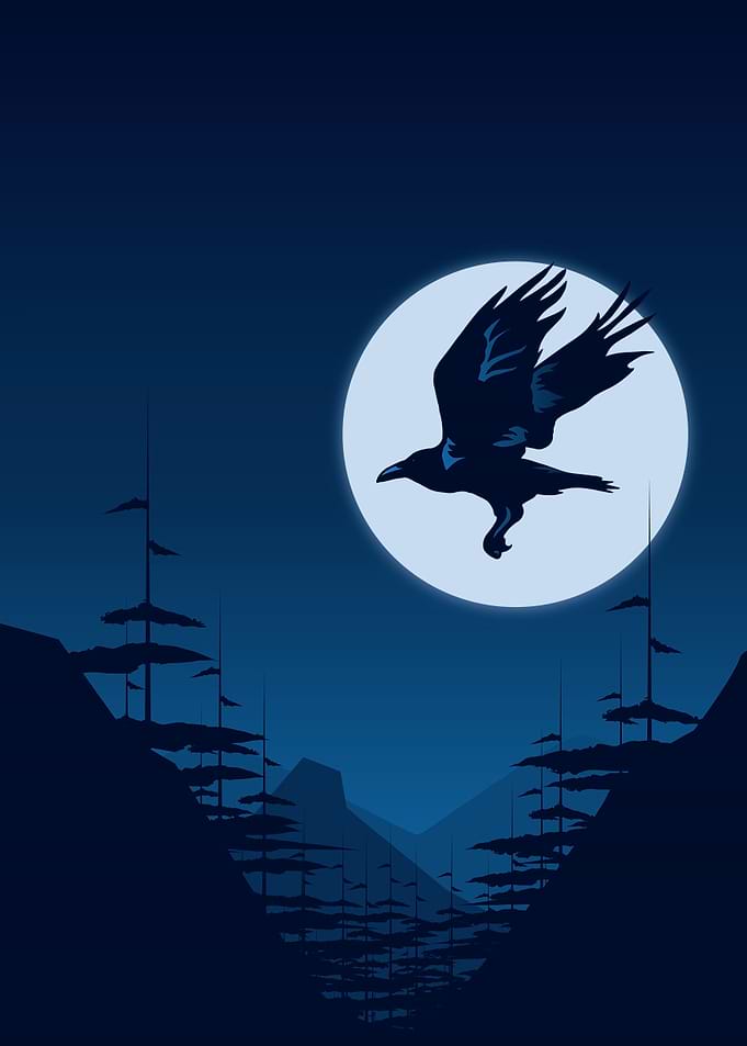 Night Flight
