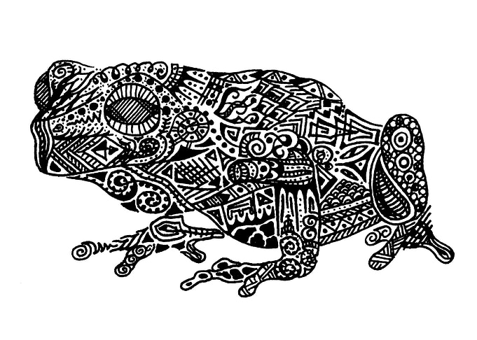 Abstract Frog