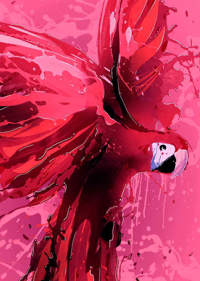 Splash Macaw