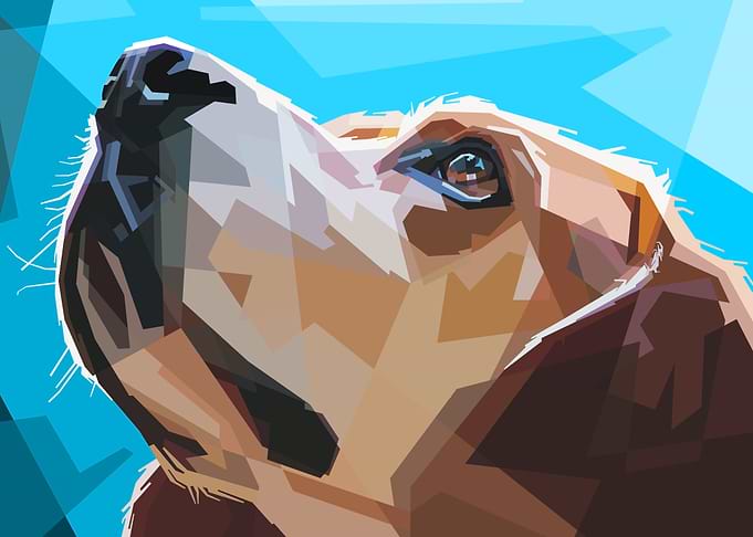 Geometric Artistic Dog