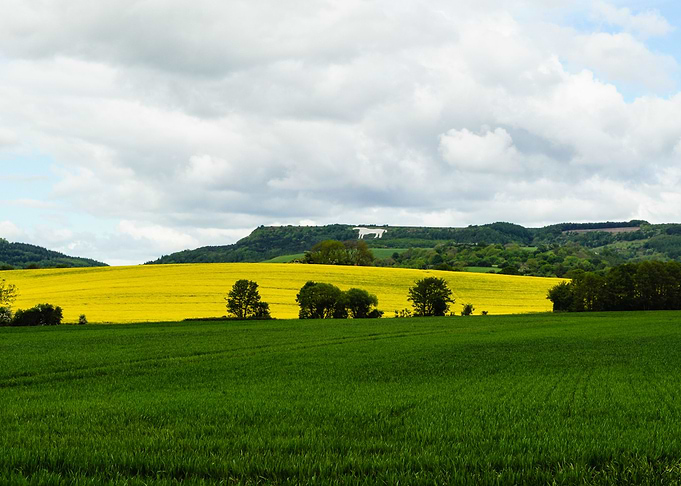 English Countryside
