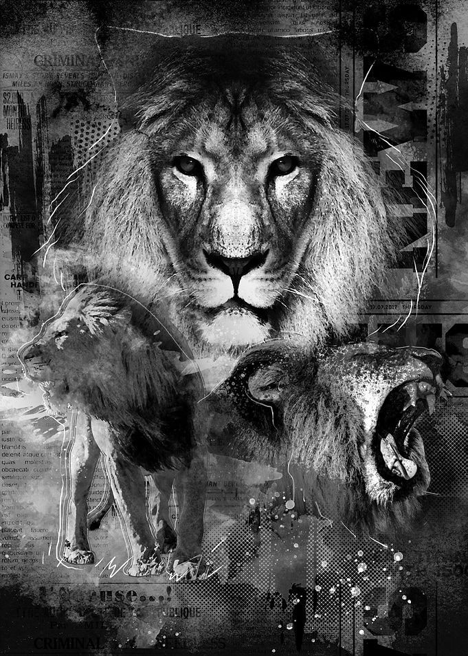 ROAR