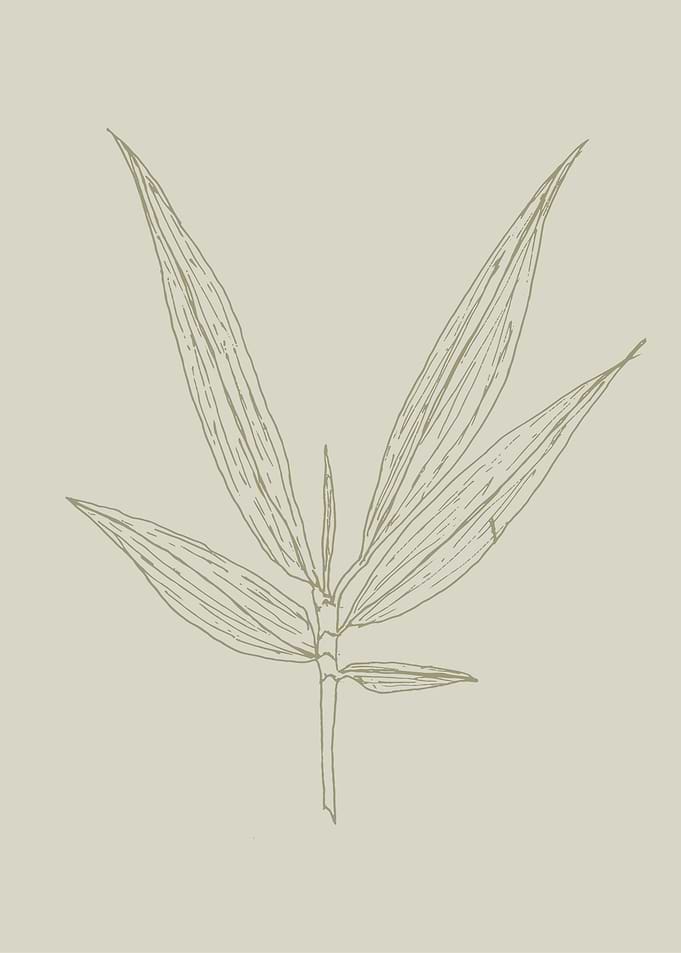 Hojas y lineas