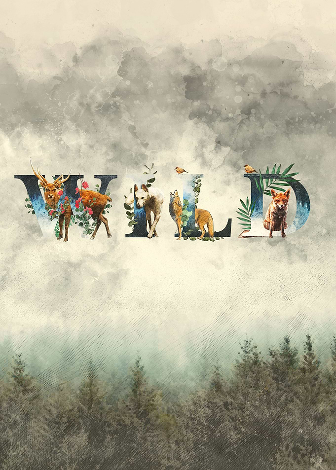 Wild Artwork