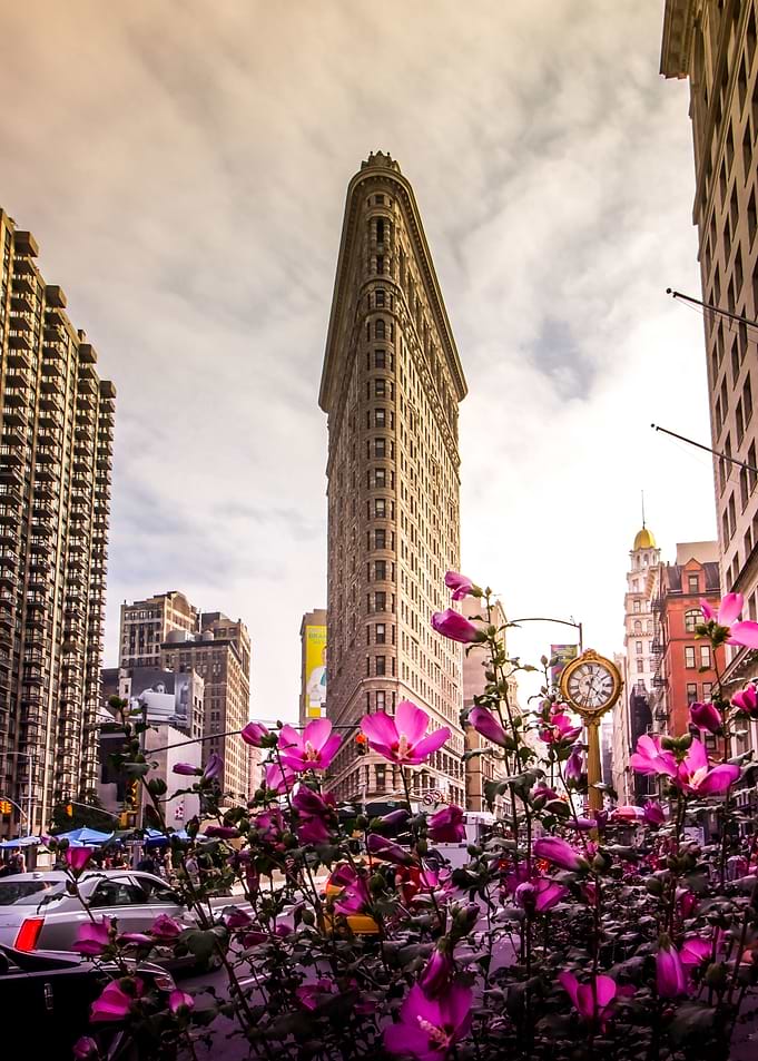 Flatiron and Flowers