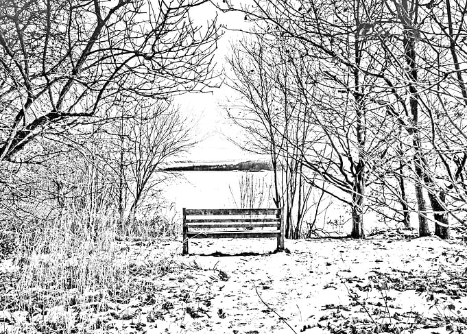 Winter View