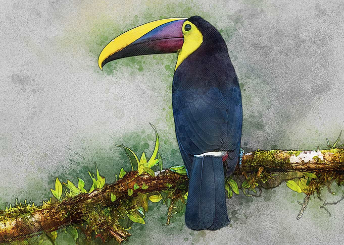 Isolated Bird