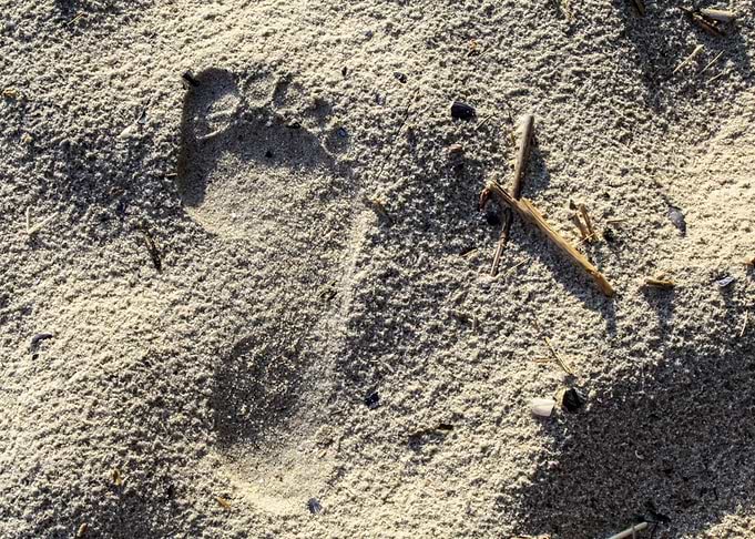 Sandy Beach
