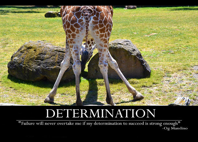 DETERMINATION