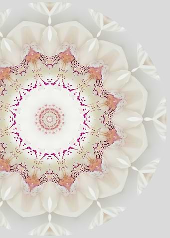 Orquidia Mandala