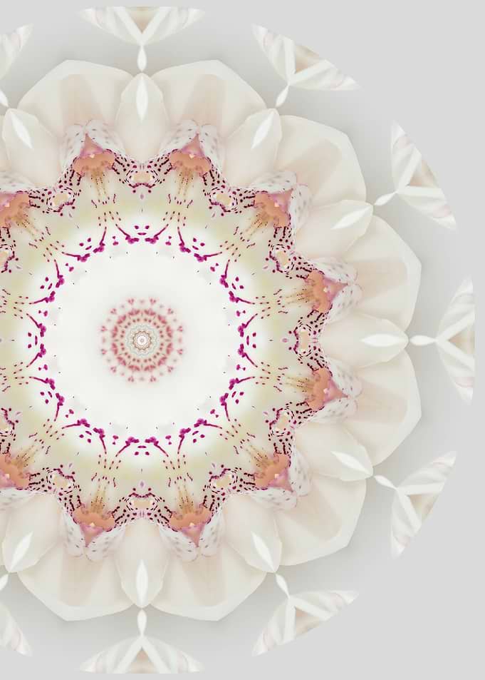 Orquidia Mandala