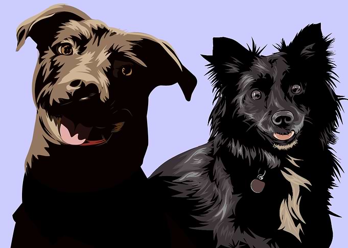 double dog