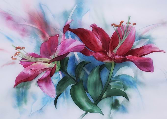 Wine Lilies On Blue