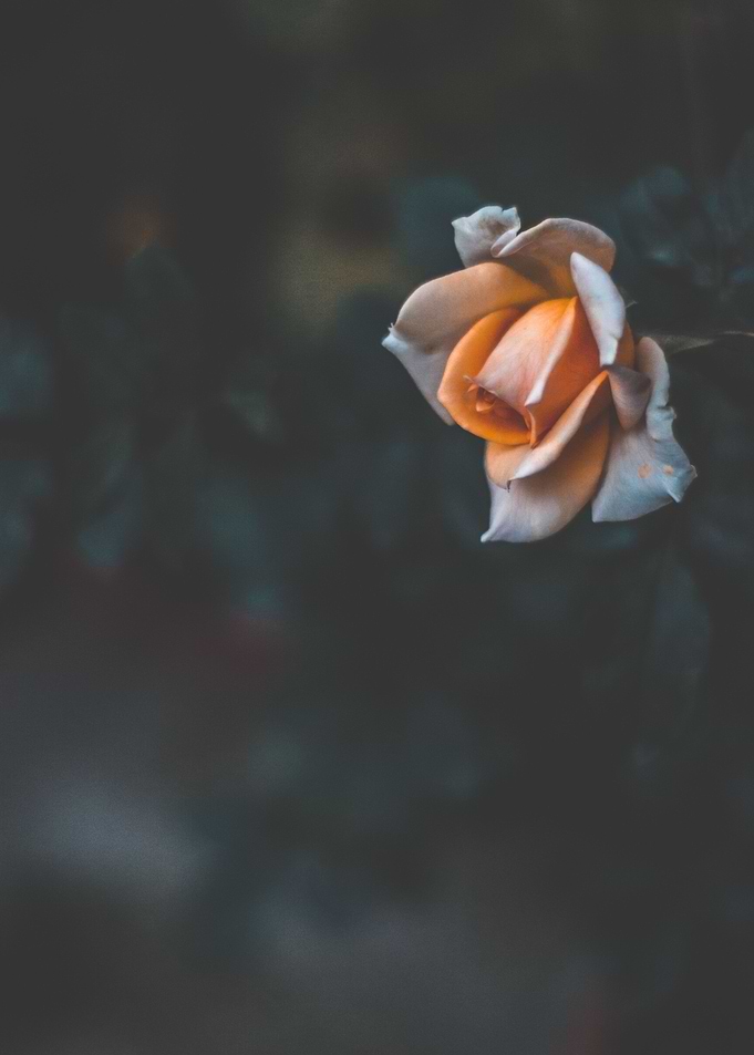 Lone soul