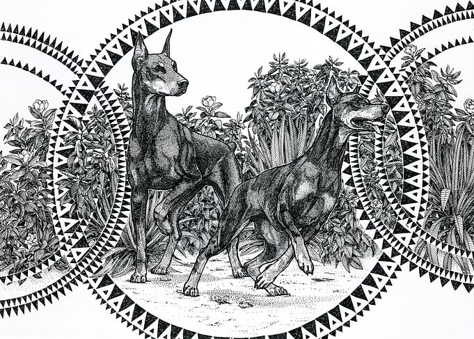 Dobermanns