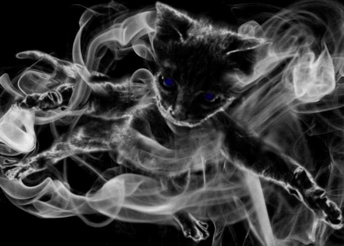 Vengeful Cat