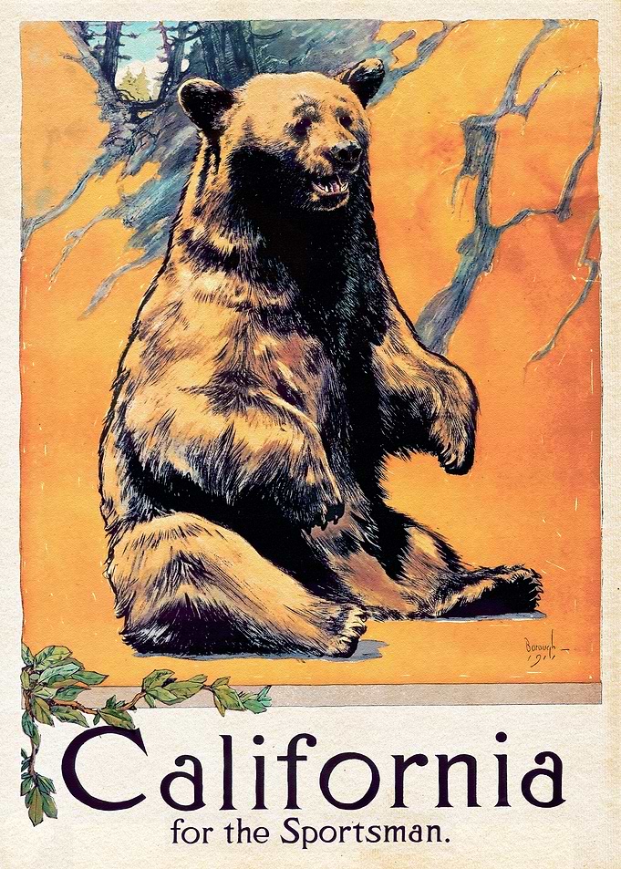 Travel California Bear