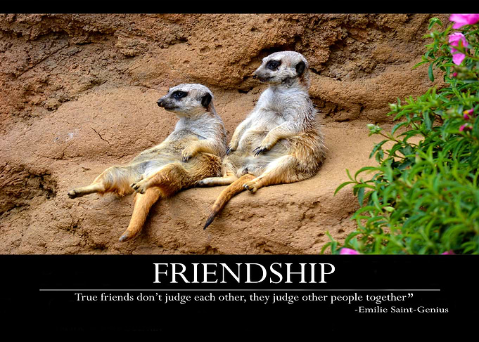 FRIENDSHIP