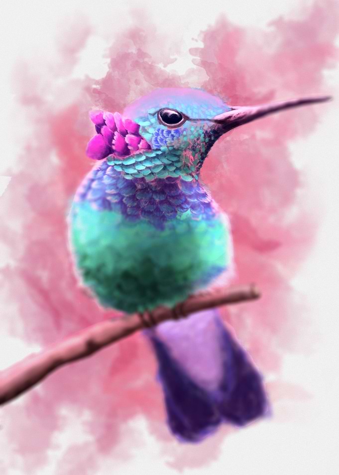 Bird of paradise