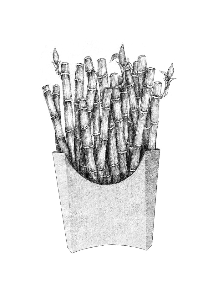 Bamboo Fries