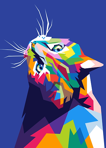 Colorfuly Cat