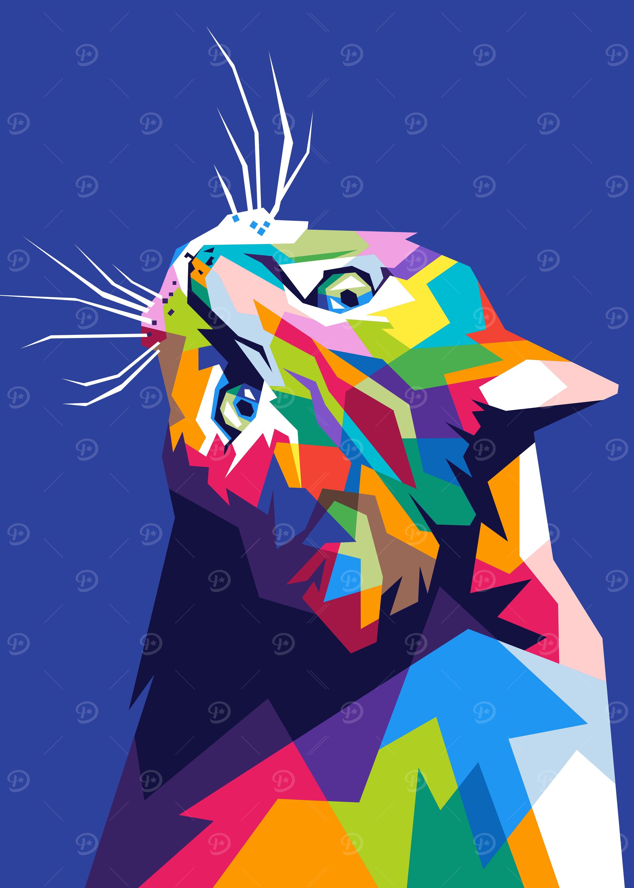 Colorfuly Cat