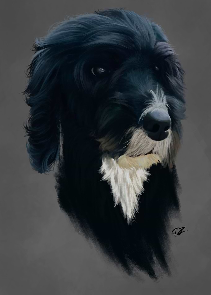 Calm Terrier