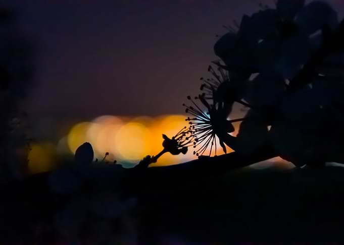 At night