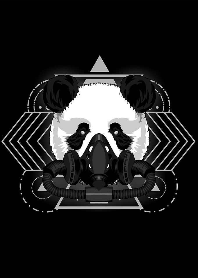 PANDA SCARED GEOMETRY