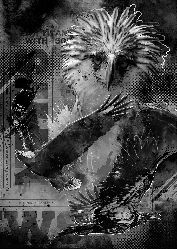 Eagles Fury