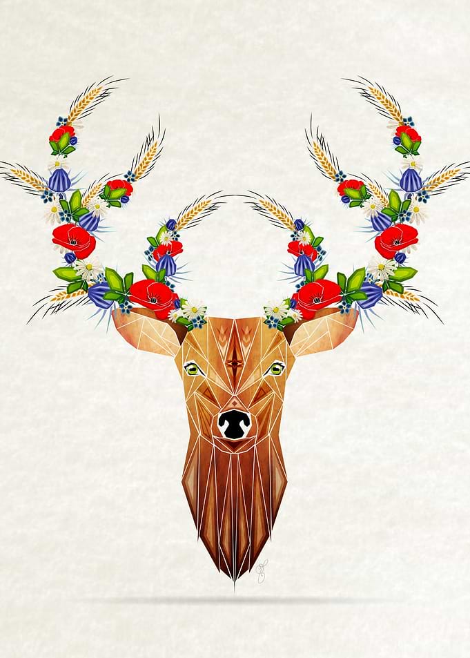 deer spring