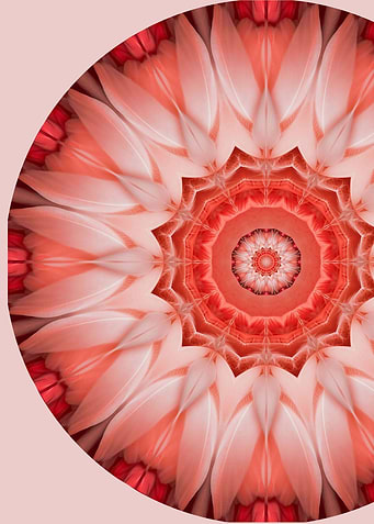 Flamingo Mandala