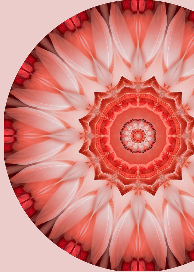 Flamingo Mandala