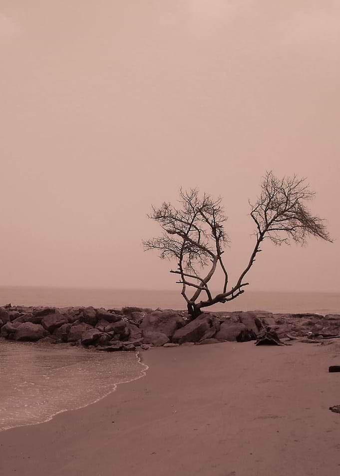 By The Sea