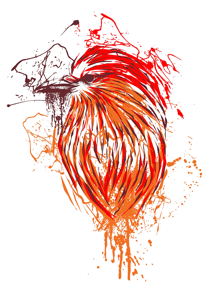 Bird splatter