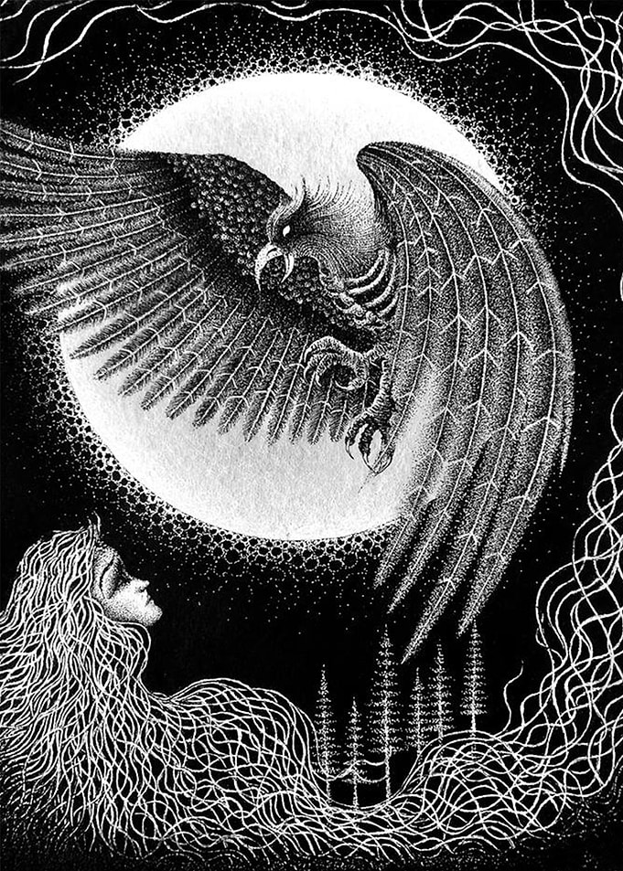 Dark Night Eagle