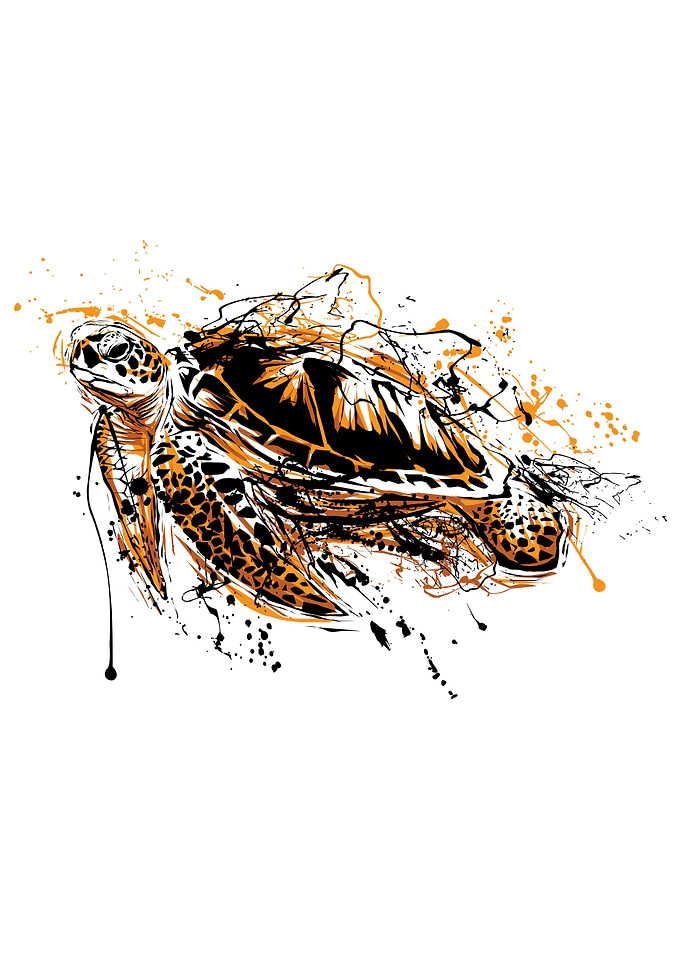turtle splatter