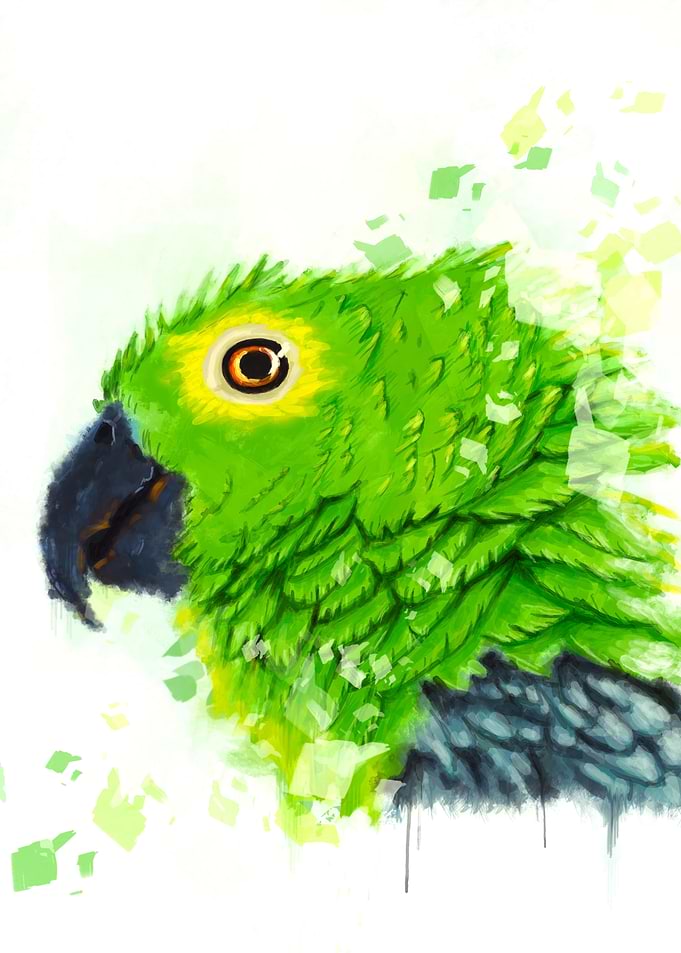 Colorful tropical parrot
