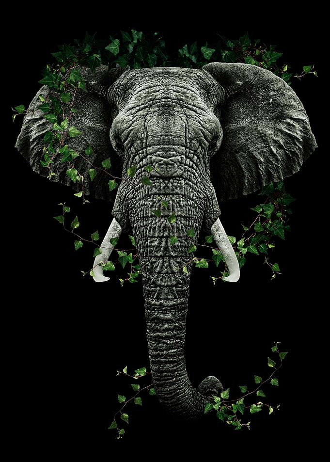 the father of the nature