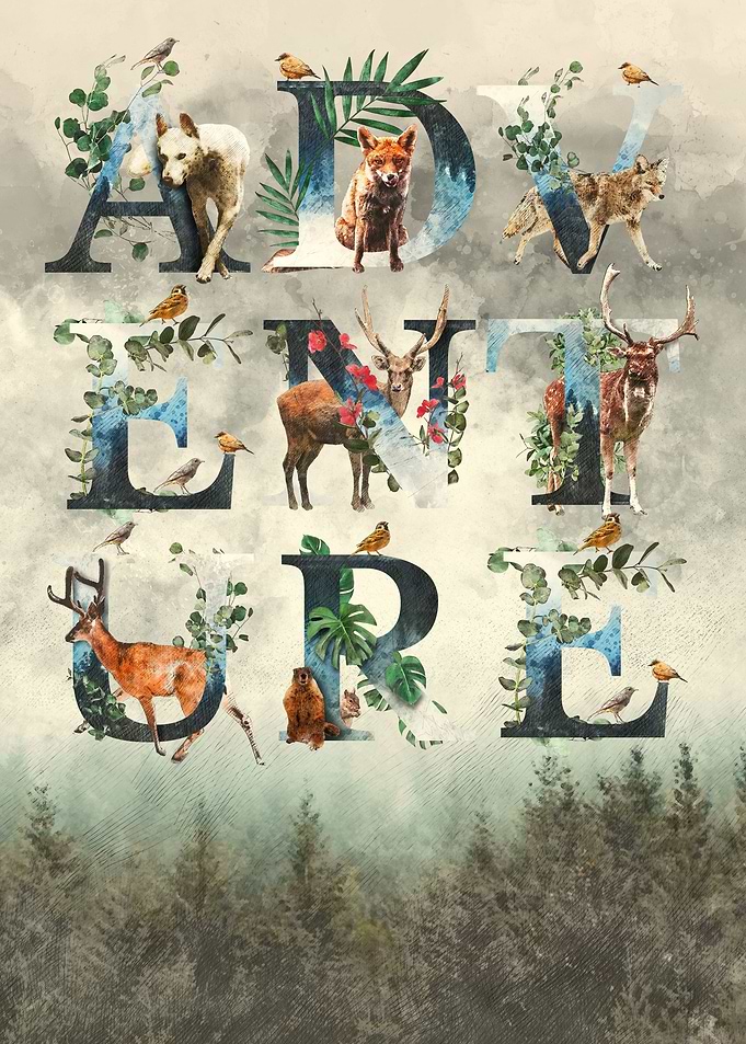 Adventure Artwork