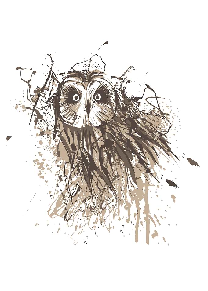 owl splatter