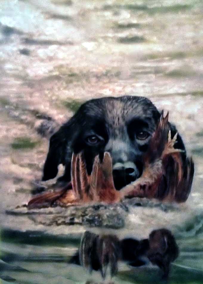 Fetch