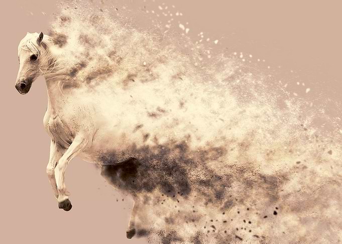 La poudre du cheval