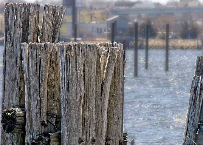 The dock on the bay